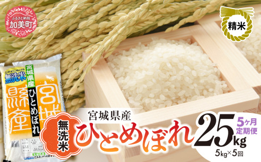 【5回定期便】R7 宮城県産 ひとめぼれ 無洗米 5kg×5回 [ 宮城県 加美町 菅原精米 ] 米 こめ コメ ご飯 sw-hb05-mu-t5-r7