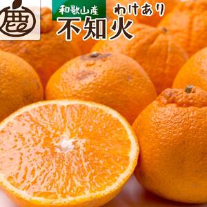 ＜2月より発送＞家庭用 不知火5kg+150g（傷み補償分）【デコポンと同品種・人気の春みかん】【わけあり・訳あり】【光センサー選別】