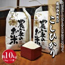 【ふるさと納税】佐川さんちのこしひかり米 10Kg【令和5年度産】