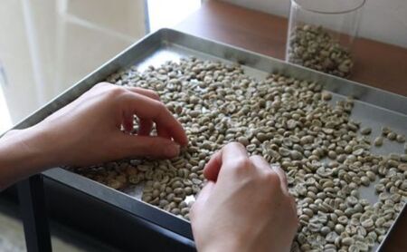 【自家焙煎 スペシャルティ】 コーヒー豆（粉）おすすめ3種セット