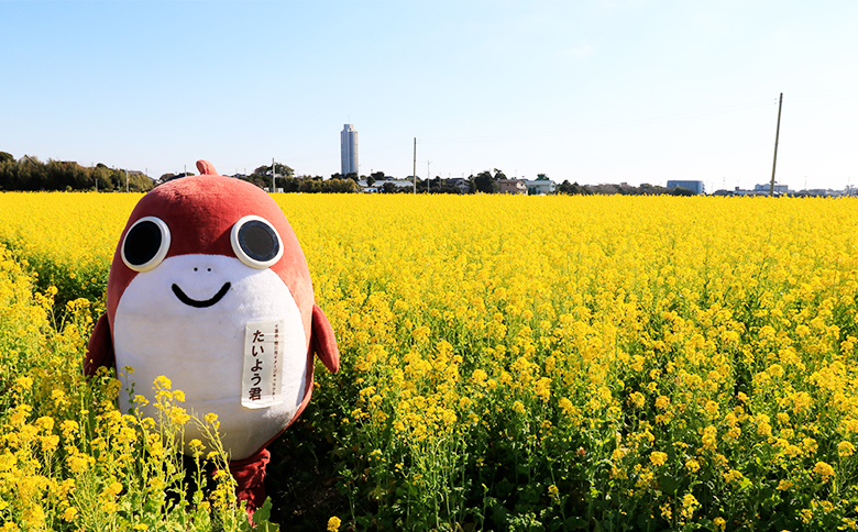 千葉県 鴨川市 ANAトラベラーズダイナミックパッケージ割引クーポン 3,000点分 3,000点