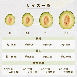 ＜2026年先行予約＞ タカミメロン 青肉 4L×3玉セット 6月発送 メロン メロン メロン メロン メロン メロン 青肉 青肉 青肉
