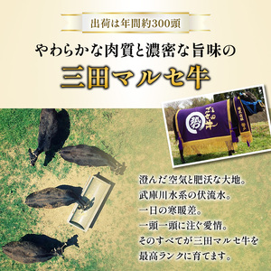 【ふるさと納税】 三田 マルセ牛 焼肉 500g 焼き肉 やきにく 焼肉 焼肉パーティ 勢戸 牛肉 ギフト 肉 お祝い 但馬牛 神戸牛 三田牛 数量限定 訳あり ふるさと納税 ふるさと 人気 おすすめ