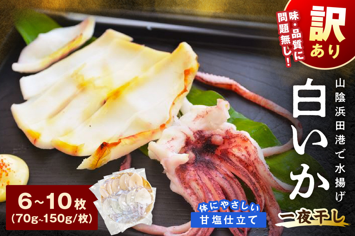 
            【訳アリ】白いか一夜干し　（７０ｇ～１５０ｇｘ６～１０枚） 【136_1961】
          