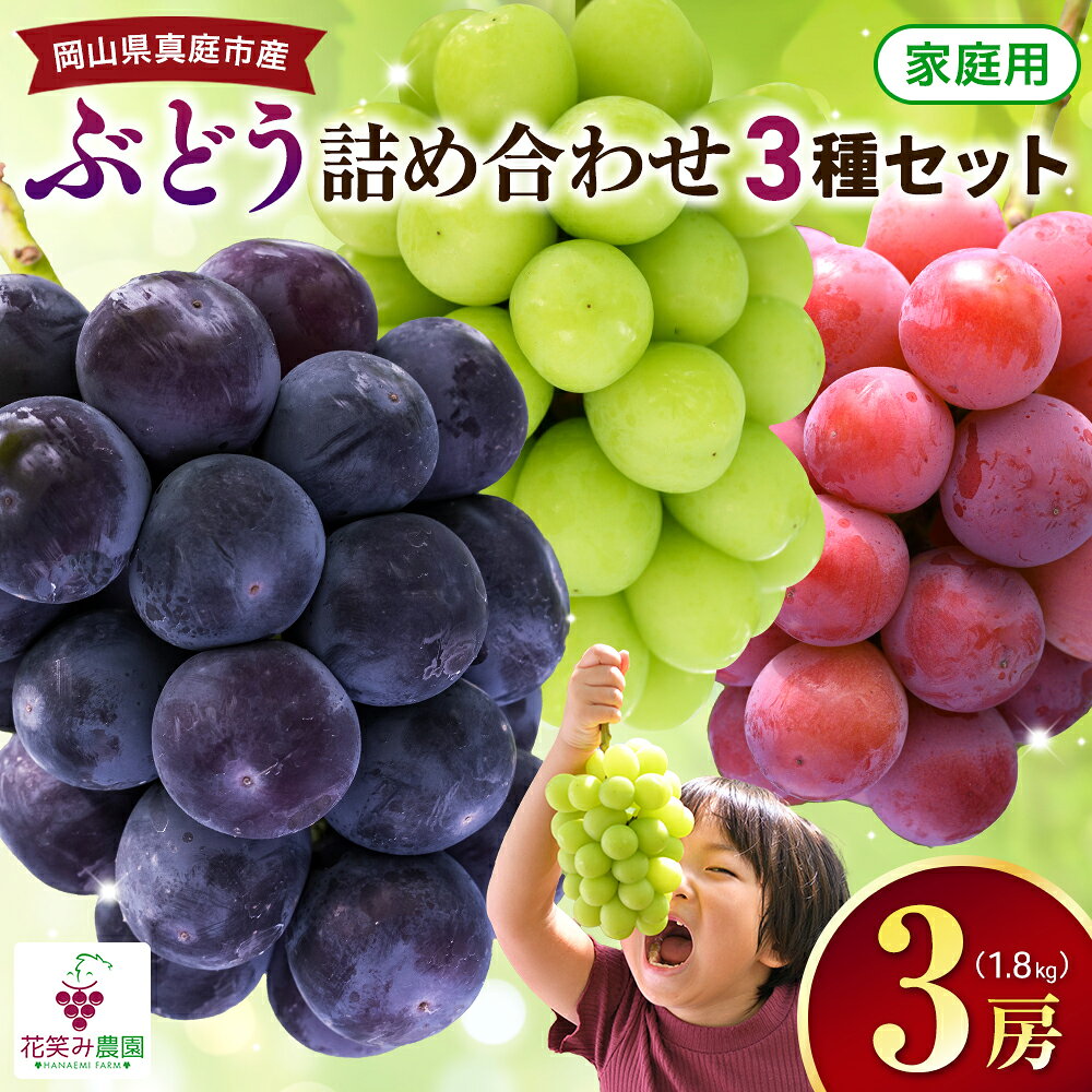 【ふるさと納税】 ぶどう 岡山 彩り3種セット 家庭用 【2026年の先行予約】 （1.8kg） 3M-2家 / ぶどう 詰め合わせ 食べ比べ セット シャインマスカット 岡山 真庭市 フルーツ 果物 ブドウ 葡萄 人気 送料無料 産地直送 くだもの ギフト 期間限定 2026年発送