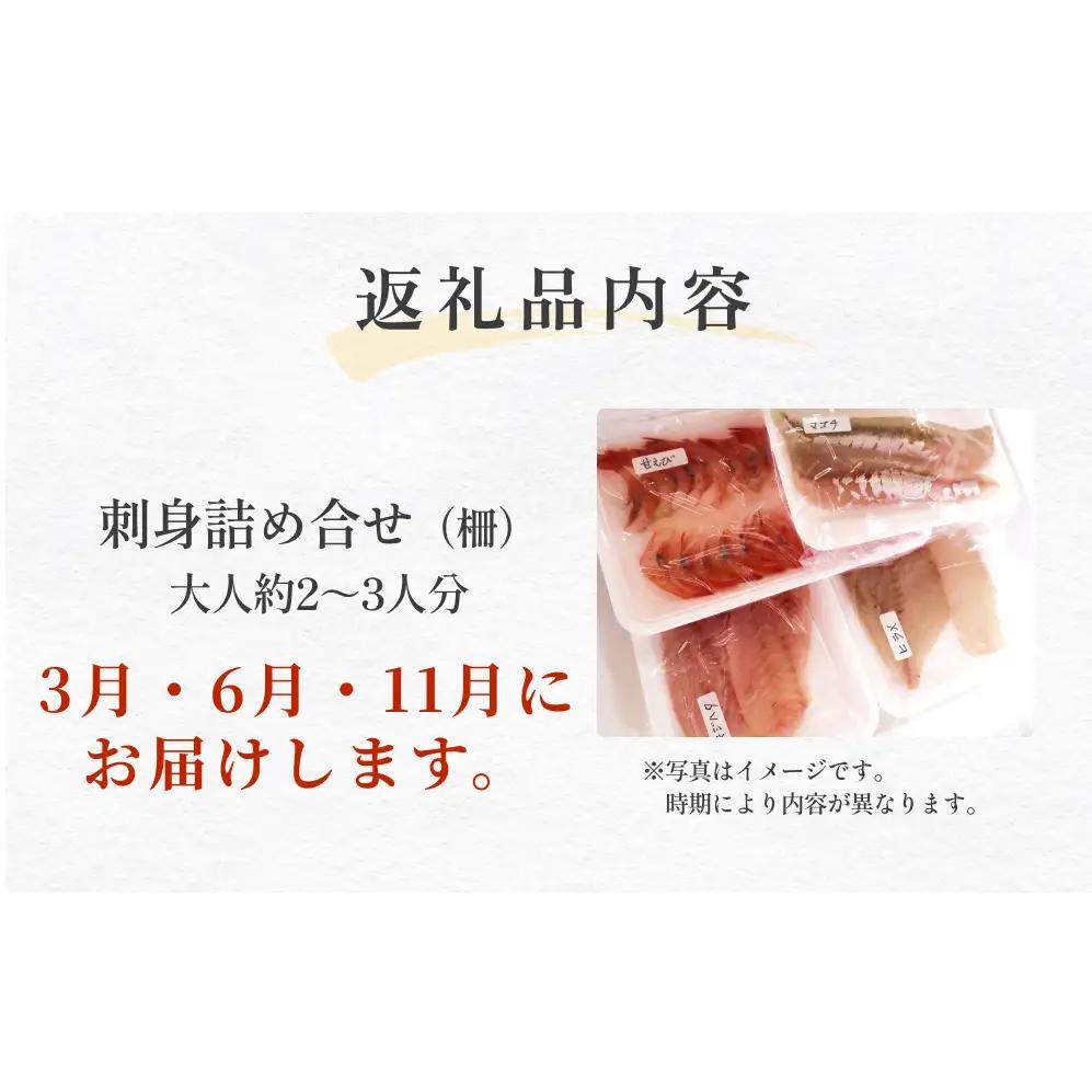 【３回 定期便】 氷見漁港朝どれ！旬の新鮮刺身おまかせセット ２、３人前（３月・６月・１１月）