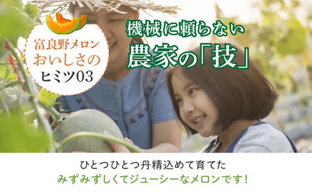 メロン 富良野産 訳あり メロン【約4kg 2～4玉】富良野メロン