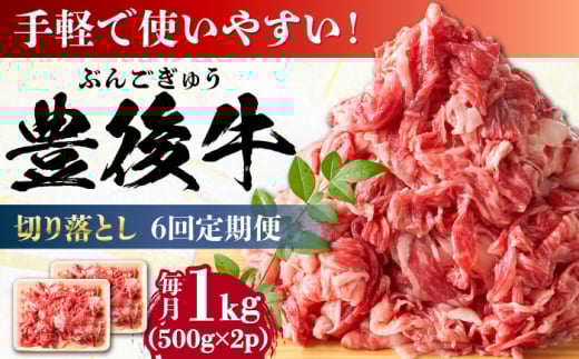 【全6回定期便】【小分けで便利！】おおいた豊後牛 牛肉 切り落とし 1kg (500g×2)  日田市 / 株式会社MEAT PLUS 牛肉 おおいた豊後牛 おおいた 豊後牛 黒毛和牛 赤身 薄切り 切り落とし 和牛 [AREI045]