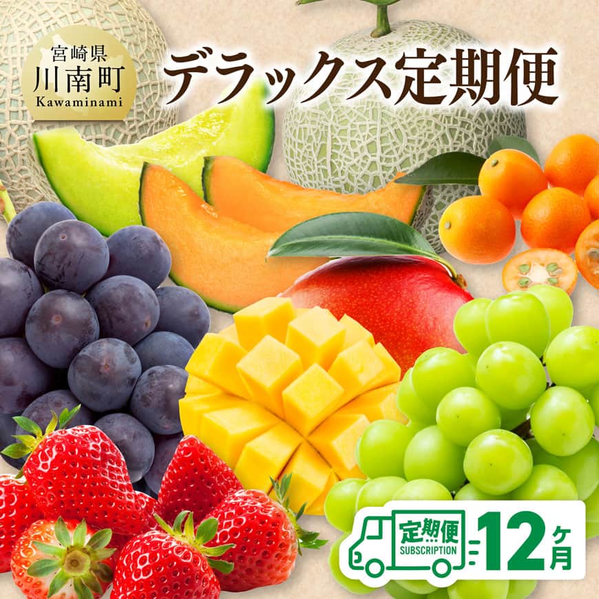 【 12ヶ月定期便 】 デラックス 定期便　メロン いちご 完熟 マンゴー[B11701t12]