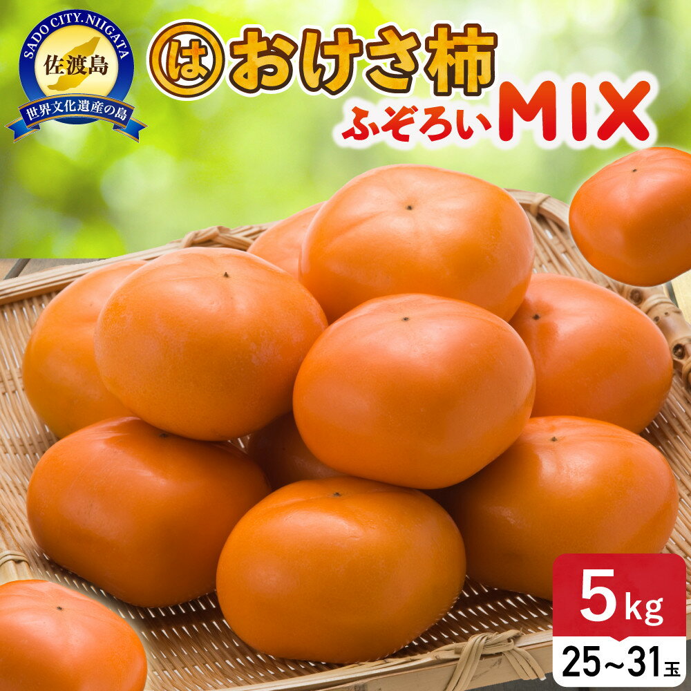 【ふるさと納税】【先行予約】ふぞろいmixおけさ柿　約5kg（25～31個）（家庭用） | フルーツ 果物 くだもの 食品 人気 おすすめ 送料無料