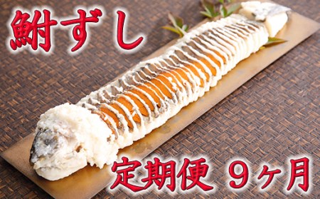 近江本にごろ　ふなずし大380gスライス　定期便（9か月連続お届け）【AD20U】