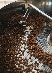 3ヶ月定期便【コーヒー豆 200g × 3種】Seasonal selection [季節のおすすめセット]