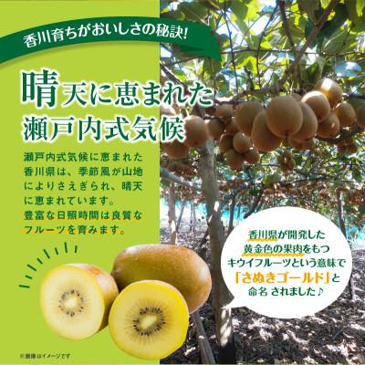 ふるさと納税 高松市 ご家庭用さぬきゴールドキウイ　約1kg |  | 01