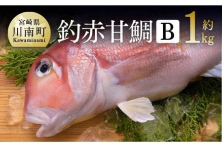 『釣赤甘鯛 Ｂ』【 魚 魚介 魚介類 鮮魚 さかな 日向灘 魚介 魚介類 赤甘鯛 九州 宮崎 川南町 新鮮 魚介 海の幸  魚介類 甘鯛 たい 送料無料 魚介 魚介類 】