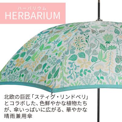 ふるさと納税 都留市 婦人長傘 StigL. ハーバリウム(ライムグリーン) 槙田商店の職人が作る日本製の晴雨兼用婦人傘 |  | 01