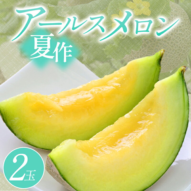 【ふるさと納税】アールスメロン 2玉 果物 フルーツ メロン 夏作 季節限定 期間限定 特産品 お取り寄せ グルメ