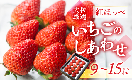 【愛知県・田原産】ブランドいちご「いちごのしあわせ」約9粒～15粒 ／ 苺 イチゴ フルーツ 果物 農薬節減 愛知県 特産品 産地直送 田原市 渥美半島 いちご イチゴ 苺 いちご イチゴ 苺 いちご イチゴ 苺 いちご イチゴ 苺 いちご イチゴ 苺 いちご イチゴ 苺 いちご イチゴ 苺 いちご イチゴ 苺 いちご イチゴ 苺 いちご イチゴ 苺 いちご イチゴ 苺 いちご イチゴ 苺 いちご イチゴ 苺 いちご イチゴ 苺 いちご イチゴ 苺 いちご イチゴ 苺 いちご イチゴ 苺 いちご イチゴ 苺