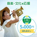 【ふるさと納税】「音楽・文化」を応援 （返礼品なし） 5000円 寄附のみ申込みの方