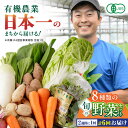 【ふるさと納税】【全6回隔週定期便】有機野菜 8種セット 野菜 詰め合わせ 熊本県産 産地直送 オーガニック【株式会社 肥後やまと】[YAF011]