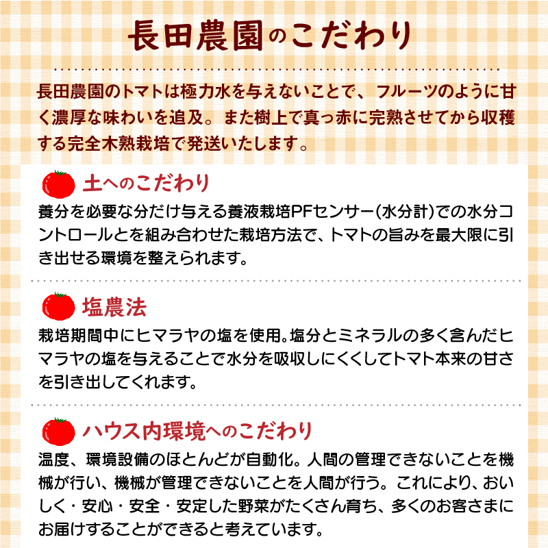 1月～6月毎月発送　まるでトマトの宝石箱！ジュエリートマトの定期便　6回コース　H004-164