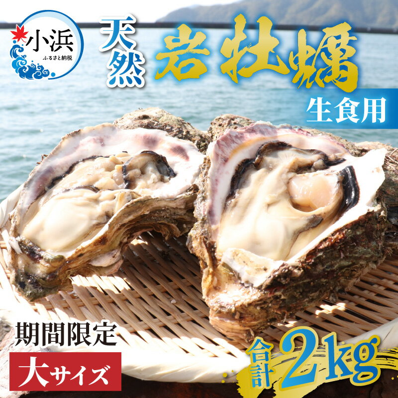 【ふるさと納税】【先行予約/6月中旬より順次発送】【期間限定】若狭の天然岩牡蠣（生食用）2kg 6〜8個入り【配送不可地域：北海道・沖縄・離島】 小浜市 / 桝屋商店 [BFAO013]