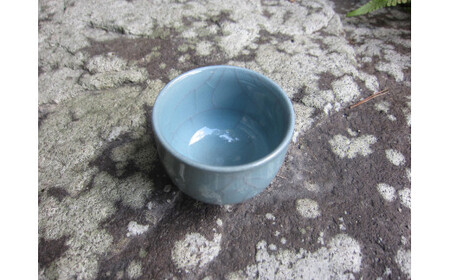 日展会友 照井一玄作 紛青ぐい吞 酒器 ぐいのみ おちょこ 作家 伝統工芸 ギフト 贈答 35000円 3.5万円 A35-547