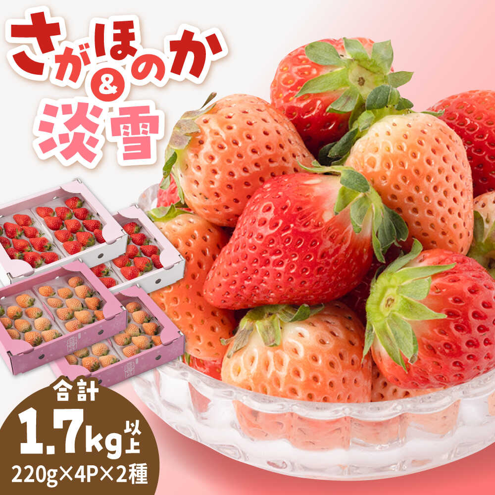 【ふるさと納税】【2026年1月以降発送】紅白いちごセット（淡雪・さがほのか ） 計1.7kg以上（各220g×4パック）【岸川農園】 佐賀県 白石 [IAP049]