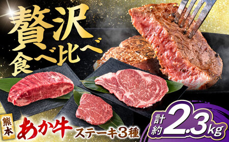 令和8年熊本地震復興支援 熊本あか牛 ステーキ食べ比べ3種セット（ミニステーキ・ヒレステーキ・ロースステーキ）計約2350g牛肉赤牛[AYCB090]