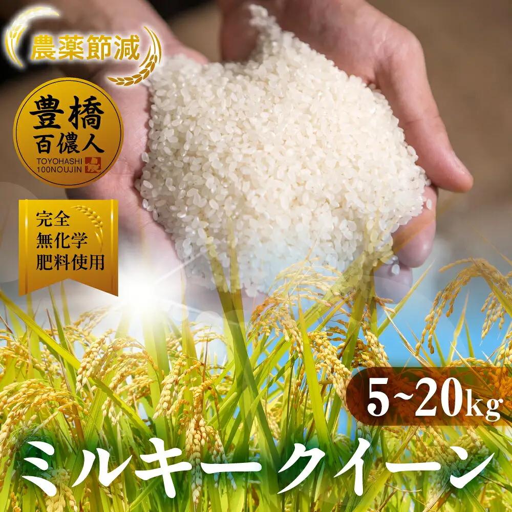 令和7年産 ミルキークイーン 10kg 定期便 3回 白米 ブランド米 ミルキー ﾐﾙｷｰｸｲｰﾝ お米 こめ 米 ※ コメ ご飯 生活必需品 日用品 定期 定期配送 人気 美味しい 取り寄せ 10キロ 3か月 送料無料 愛知県 豊橋市