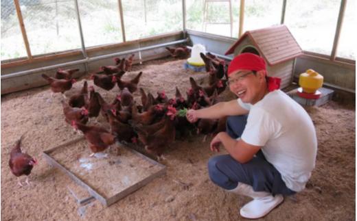 龍神コッコの小さなお肉×2羽分  / 地鶏 鶏 かしわ チキン ムネ もも ささみ 肝 砂ずり 心 たまひも 冷凍 真空パック  田辺市 龍神村 【trt024-1】
