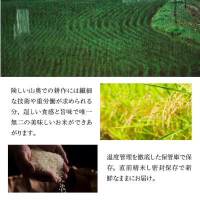 ふるさと納税 下呂市 令和7年産米【定期便】こしひかり 5kg×6回 すがたらいす 下呂市 米【51-Y】 |  | 03