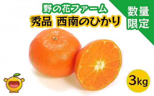 【先行予約・数量限定】野の花ファーム 秀品 西南のひかり 3kg みかん ミカン オレンジ 柑橘類 果物 フルーツ 大分県産 九州産 津久見市 国産