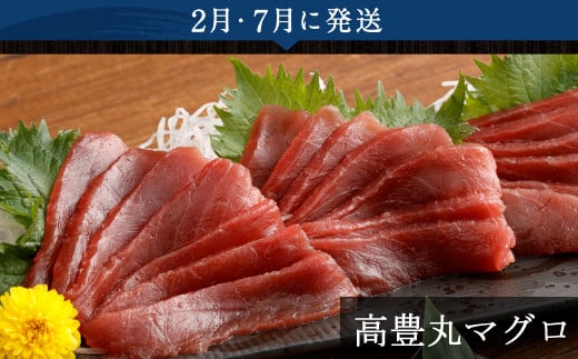 【5回定期便】海からの贈り物!マグロとカツオのお楽しみセット まぐろ カツオのたたき ネギトロ  刺身 海産物 魚介類 鮪 まぐろたたき 鰹 魚 高知県 海鮮 冷凍 コロナ 緊急支援品 訳あり 不揃い