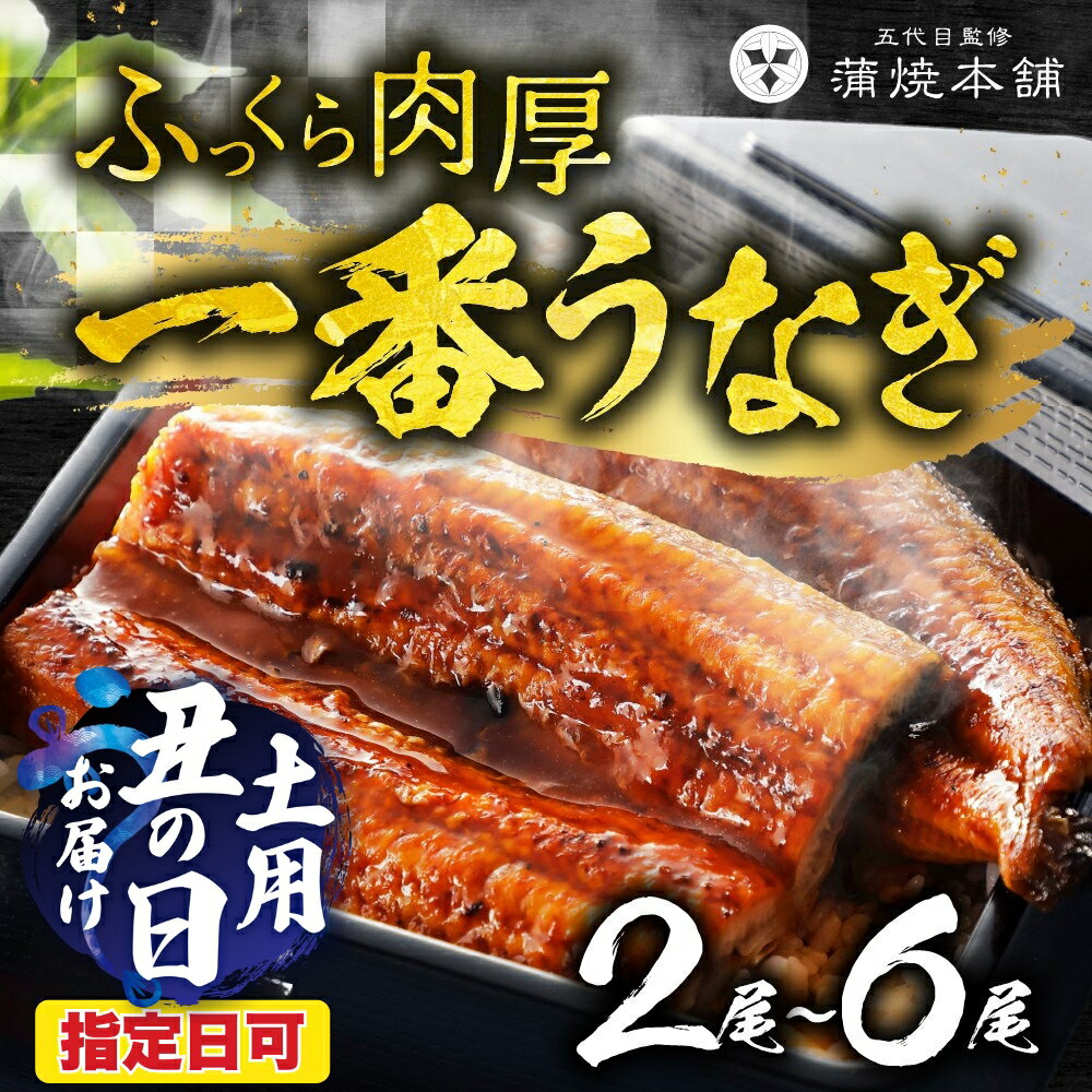 【ふるさと納税】≪特大サイズ≫ 国産うなぎ蒲焼 2尾 ~ 6尾 タレ付 うなぎ unagi 鰻 国産 ウナギ 蒲焼 土用の丑の日 国産うなぎ 贅沢 ご褒美 お取り寄せ うな重 うな丼 ひつまぶし 冷凍 惣菜 お祝い 大きい 超特大 指定 指定日 指定日可 指定可 愛知県 豊橋市