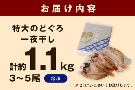 山陰浜田 香住屋のこだわり干物「特大のどぐろ一夜干し」（3～5尾） 魚 一夜干し 干物 のどぐろ 天然 加工品 【203】