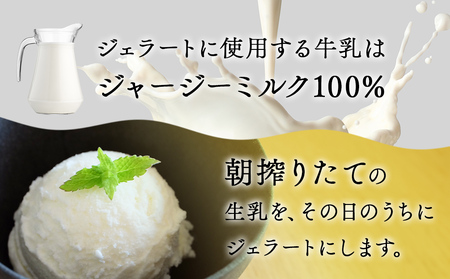 【訳あり プレミアムジェラート】　ジャージーミルク 1L　ジェラート