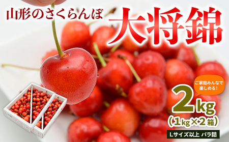 【ご家庭みんなで楽しめる！2kg】山形のさくらんぼ 大将錦 2kg Lサイズ以上 バラ詰(1kg×2箱) 【令和8年産先行予約】FS25-008