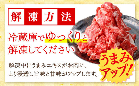 【6回定期便】国産 黒毛和牛 熟成肉 切り落とし 500g / 小分け 国産牛 お肉 牛肉 切落し 冷凍 焼肉 すき焼き / 南島原市 / ふるさと企画[SBA098]