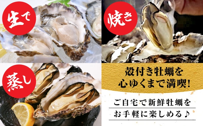 牡蠣 生食 むき身 殻付き かき カキ 生牡蠣 広島牡蠣 オイスター カキフライ 魚介類 貝類 海鮮 広島県産 国産 産地直送