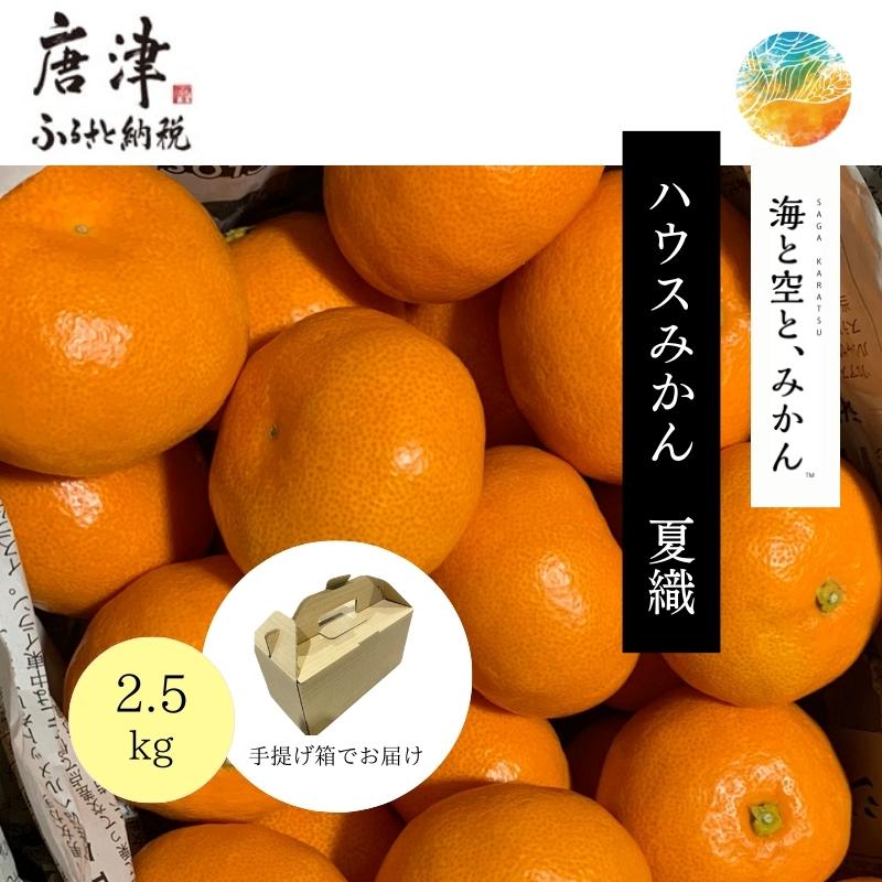 『先行予約』【令和7年6月上旬発送】夏の極上ハウスみかん「夏織」2.5kg 手提げ箱入り～海と空と、みかん～甘くてとろける夏の果物 ミカン フルーツ 柑橘 ギフト