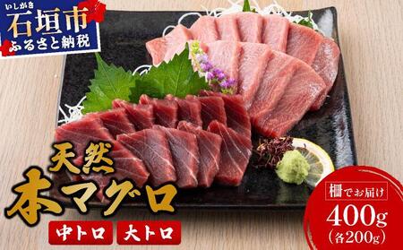 石垣島産 天然本マグロ 中トロ & 大トロ 約400g ヤエスイ マグロ船直送【順次発送】 | 産地直送 大トロ 大とろ 中トロ 中とろ 国産 まぐろ 鮪 天然 赤身 魚 お刺身 本まぐろ マグロ 沖縄県 沖縄 琉球 八重山 八重山諸島 石垣島 石垣 石垣島産