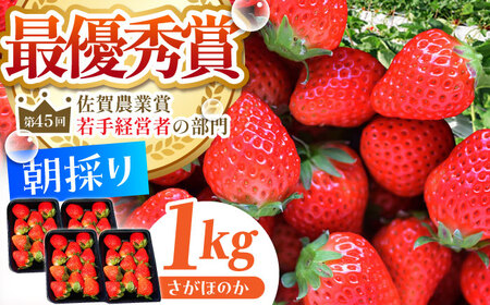 【2〜4月発送】さがほのか250g×4 HAF024 いちごいちごいちごいちごいちごいちご