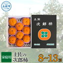 【ふるさと納税】秋の味覚！土佐の袋掛け次郎柿【8～13玉】【家庭用】 ※10月より順次発送 かき カキ 甘い 美味しい おいしい 果物 フルーツ 常温 ご自宅用 故郷納税 ふるさとのうぜい 返礼品 高知県 高知 12000円