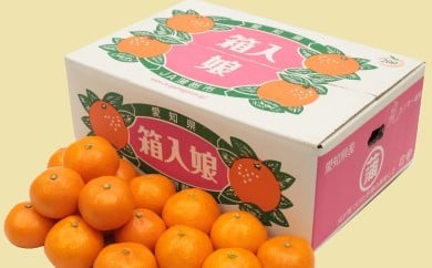 【G0002】【期間限定】蒲郡みかん「箱入娘」約５kg