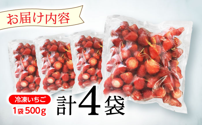 【業務用】大容量 長崎いちご 4袋セット / 冷凍 冷凍フルーツ いちご イチゴ 苺 2kg / 諫早市 / エスジーエス株式会社 [AHEQ005]