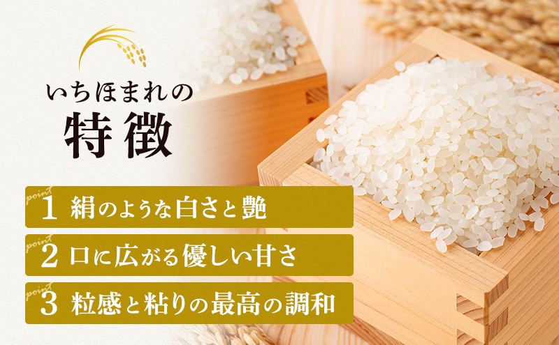 米 いちほまれ 10kg 新米 精米 白米 お米 米 おこめ こめ コメ ご飯 ブランド米 令和7年産 福井 福井県 若狭町