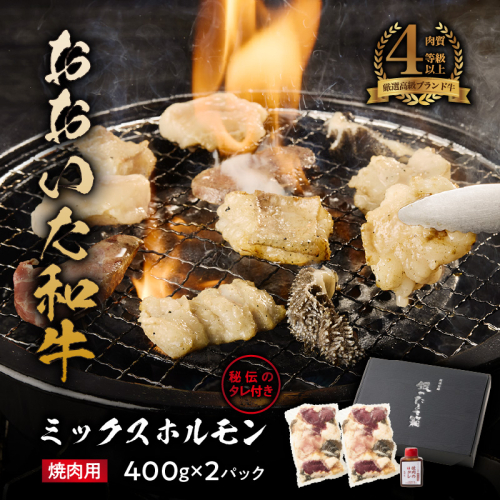 【秘伝のタレ付】おおいた和牛ミックスホルモン400g×2パック_2678R 焼肉 バーベキュー BBQ ミシュラン 高級店