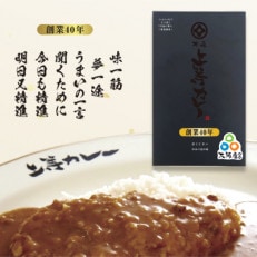 【1000g】上等カレー(6人前ファミリータイプ)レトルト(大阪市ふるさと寄付金記念品)