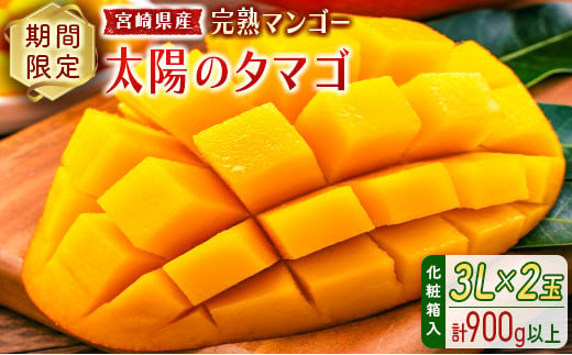 完熟マンゴー＜太陽のタマゴ＞3L×2玉（計900g以上）化粧箱入 宮崎県産 フルーツ くだもの 国産【E168-25】