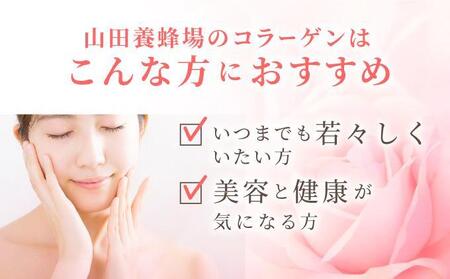 ＜定期便全3回＞コラーゲン 1袋(300粒)×3回 (28066)【006-a099】